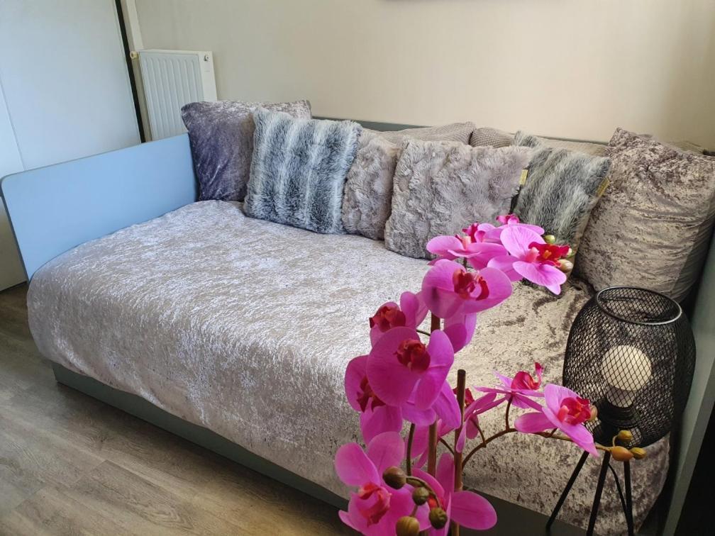 Appartement Cosynest Dunkerque à Dunkirk Extérieur photo